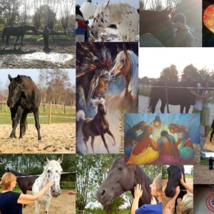 Sacred Union medicine session Shaman horses 21-08-2025