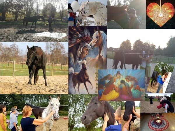 Sacred Union medicine session Shaman horses 21-08-2025