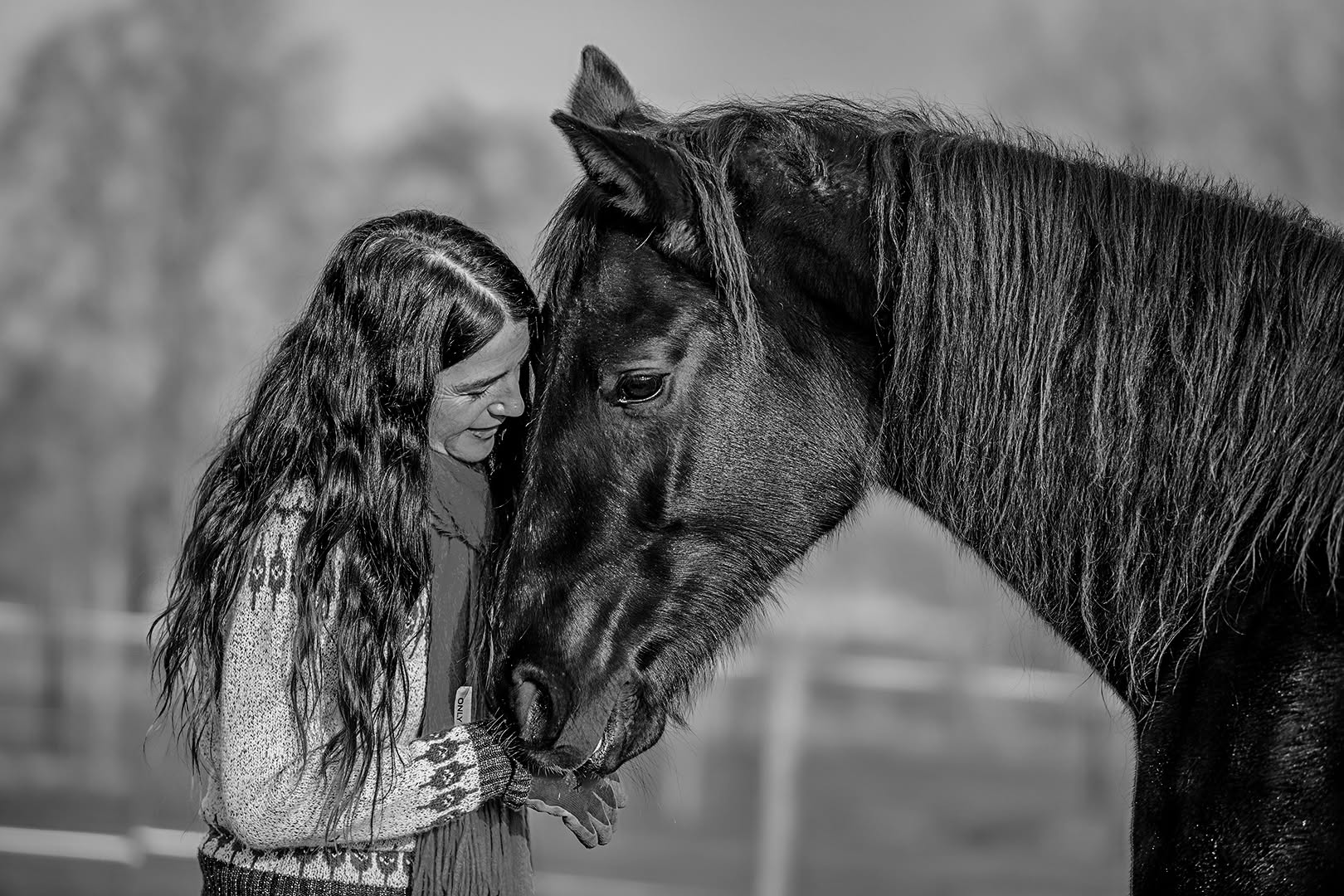 Sacred Union medicine session Shaman horses 22/07/2026